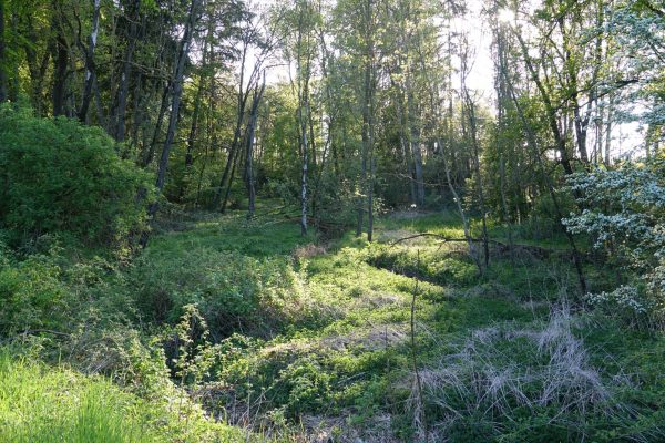 Unser Dorf_Fossa Carolina_10