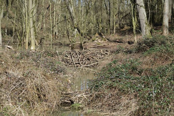 Unser Dorf_Fossa Carolina_11