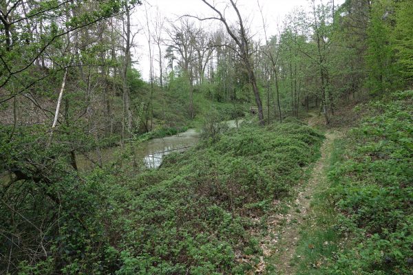 Unser Dorf_Fossa Carolina_2