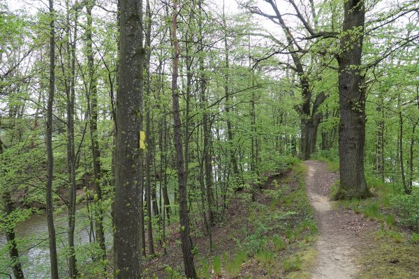 Unser Dorf_Fossa Carolina_3