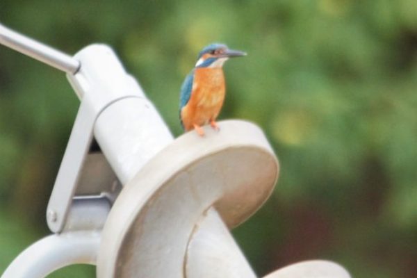 Unser Dorf_Fossa Carolina_7