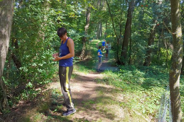 Biberbaumschutz_1_HP