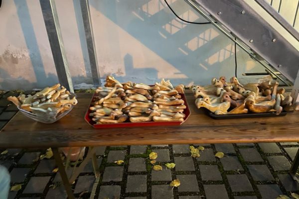 Laternenumzug2023_ (11)