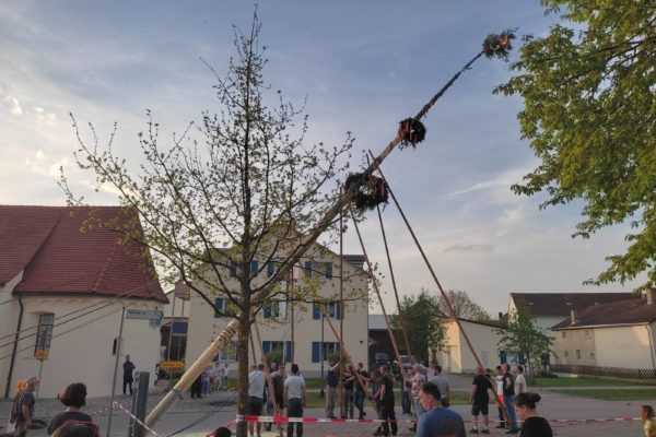 Maibaum 2024 (3)_HP